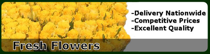 fresh flowers